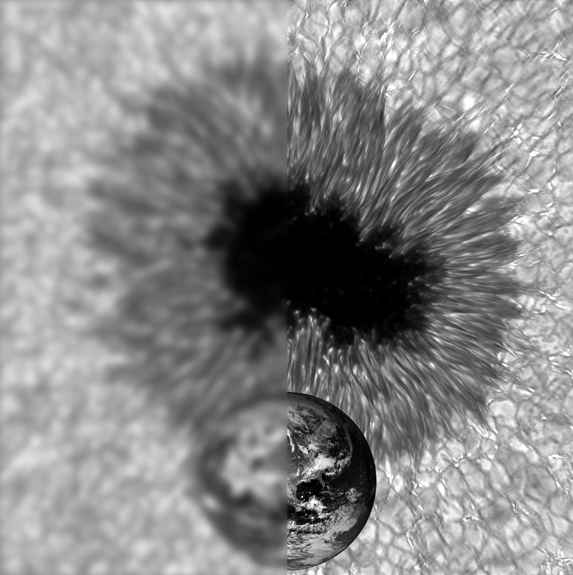 Sunspot in Black and White